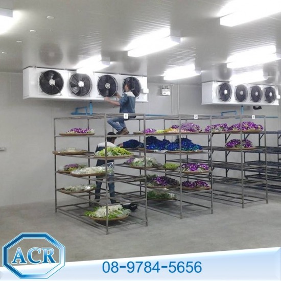 ผู้ผลิตและออกแบบติดตั้งห้องเย็น - ติดตั้งห้องเก็บกล้วยไม้  ผู้ผลิตและออกแบบติดตั้งห้องเย็น - ติดตั้งห้องเก็บกล้วยไม้