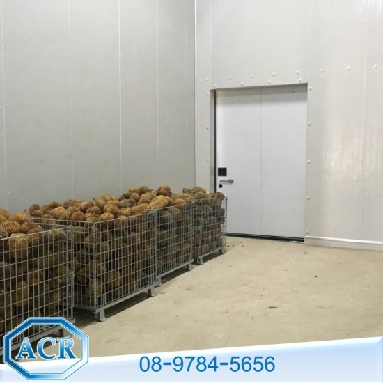 สร้างห้องเย็นเก็บทุเรียน สร้างห้องเย็นเก็บทุเรียน  สร้างห้องเย็นเก็บผลไม้  สร้างห้องเย็นเก็บลำใย 