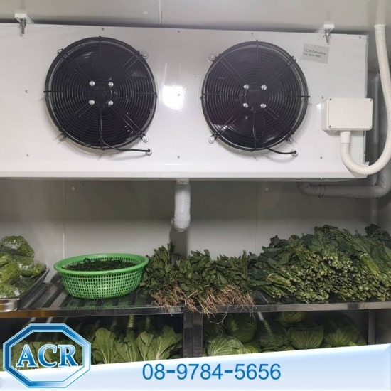 ผู้ผลิตและออกแบบติดตั้งห้องเย็น - ติดตั้งห้องFreezer room